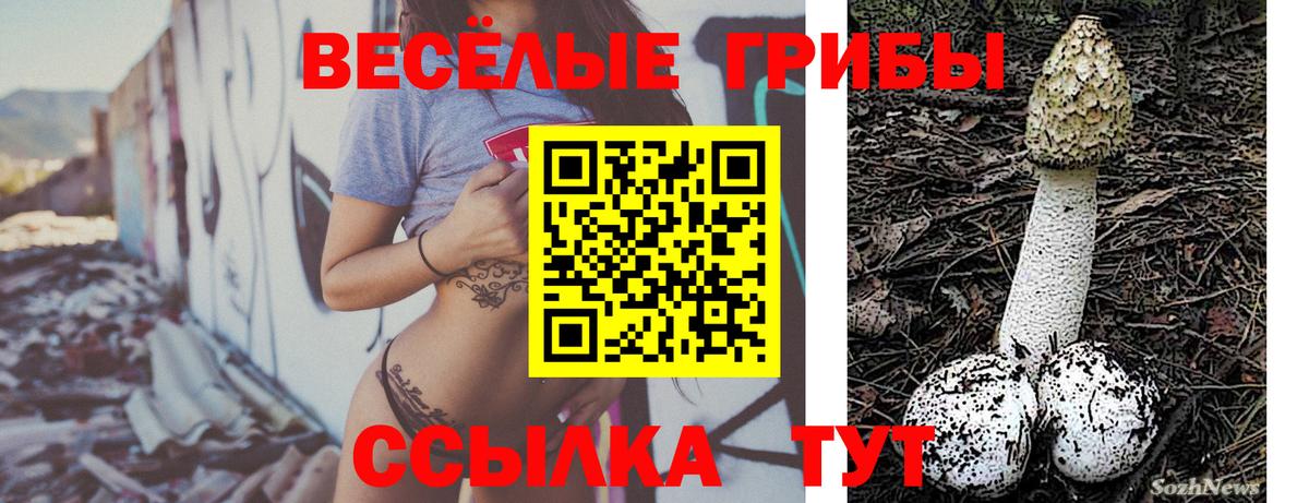 Галлюциногенные грибы мицелий Шатура