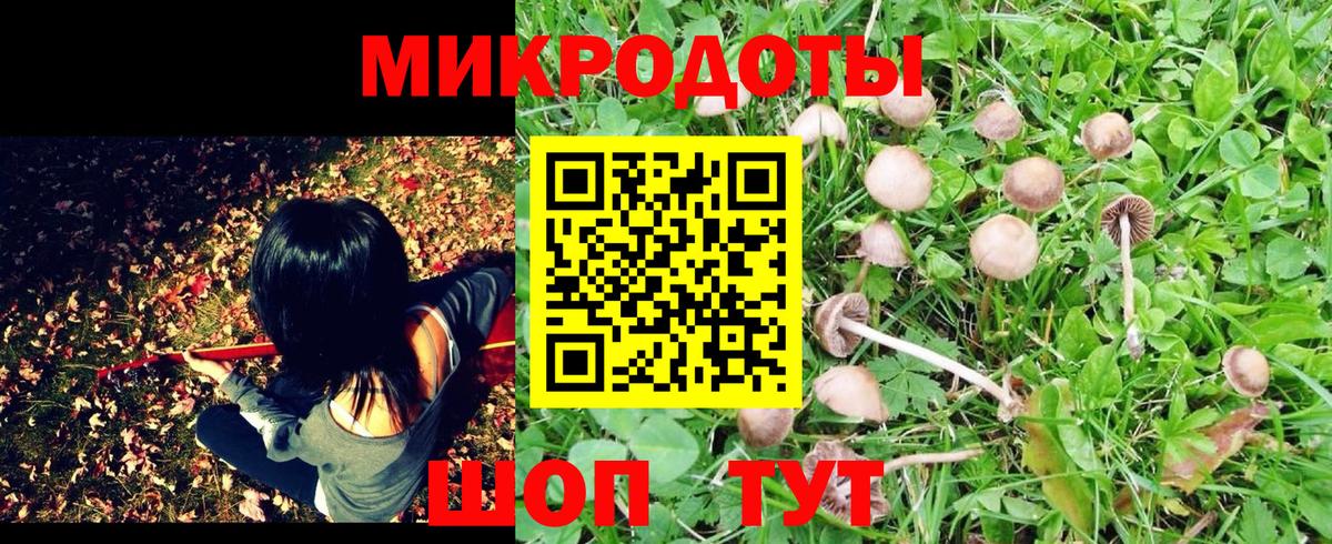 наркошоп  Вход с VPN  Галлюциногенные грибы мицелий  Шатура  Галлюциногенные грибы мицелий 