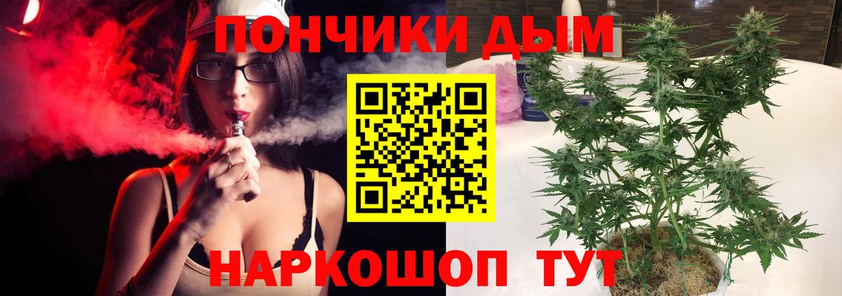 Конопля гибрид Шатура